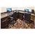 Holiday Inn Express Hotel & Suites OKMULGEE