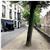 Die Swaene