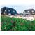 Dorint Strandresort Sylt