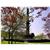 Mercure Hotel Riesa Dresden Elbland