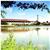 Best Western Reeds Hotel