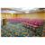 Holiday Inn Express SPRINGFIELD-I-95 S OF I-495