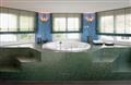 Hotel Seerose Classic&Elements Swiss Q