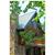 Berkeley Springs Cottage Rentals