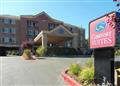 Comfort Suites Castro Valley