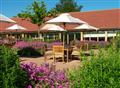 The Elms Hotel