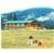 Twin Creeks Bed and Breakfast