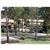 Comfort Inn & Suites Robertson Gardens