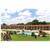 BEST WESTERN Palestine Inn