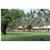 Aston Waimea Plantation Cottages