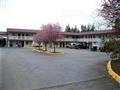 Belfair Motel