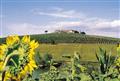 Borgo Tre Rose