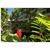 Uncle Billys Hilo Bay