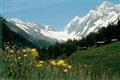 Silencehotel  Edelweiss