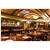 Padok Premium Hotel and Stables