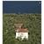 Hotel Garni Orchidea