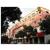 Super 8 Hotel Jiangyin Cheng Kang
