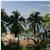Fiesta Premier Resort And Spa