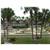 Lehigh Resort Club