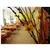 Hotel Orel