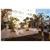 Areca