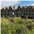 BEST WESTERN Glendower Promenade Hotel