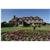 Stirrups Country House Hotel