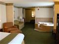 Holiday Inn Express Hotel & Suites YOUNGSTOWN (N. LIMA/BOARDMAN)