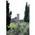 Le Saint-Paul