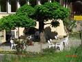 Hotel Baren