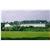 River View Resort