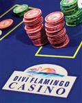 Divi Flamingo Beach Resort and Casino