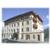 Soldanella St. Moritz
