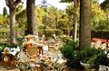 Albergo Le Terme