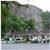Meadow Cliff Coleville