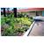 BEST WESTERN Hospitality Inn Carnarvon