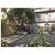 Hotel Villa Liana - Florence