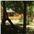 Mill Creek Ranch Resort