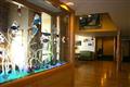 BEST WESTERN PLUS Friday Harbor Suites
