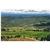 Big Creek Meadow Ranch