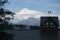 Mt. McKinley Princess Wilderness Lodge