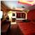 Sky Palm Motel Orange