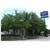 Homestead Studio Suites-Fort Worth-Medical Center