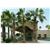 Clarion Suites Yuma