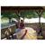 Sunset Acres Bed and Breakfast