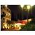 Mercure Paris Sud Les Ulis-Courtaboeuf