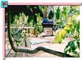 Tropical Breeze Resort Siesta