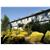 Grand Mercure Pinnacle Valley, Accor Vacation Club Apartments