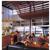 Couran Cove Island Resort