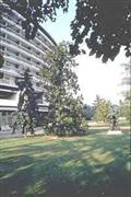 International Hotel Bertha